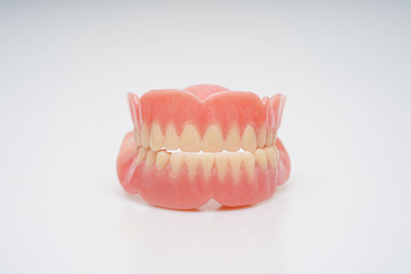 Teeth model on a white background. Dental prosthetics.の写真素材