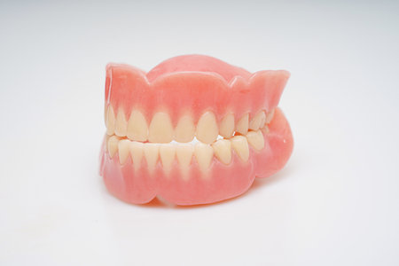 Removable partial denture on a white background, close-upの写真素材
