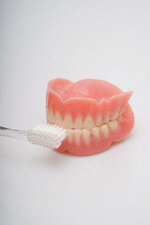 Teeth model with toothbrush on white background. Dentistry concept.の写真素材