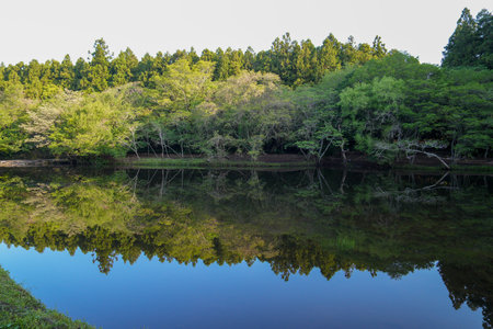 Landscape view of a lake with trees reflecting in the water.の写真素材