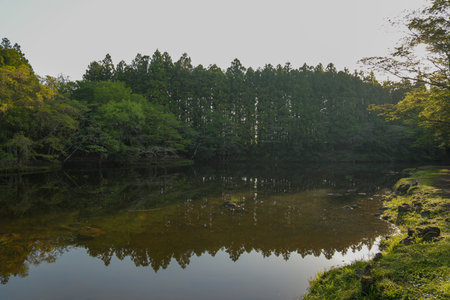 Landscape of a forest lake in the morning with reflection of treesの写真素材