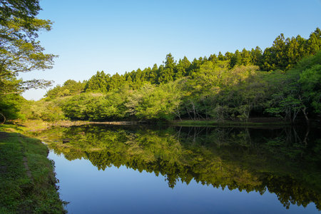 Landscape view of a lake with trees and reflection in the waterの写真素材