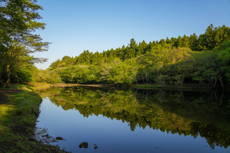Landscape view of a lake surrounded by trees with reflection in the waterの写真素材