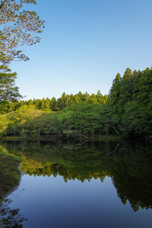 Landscape view of japanese garden with lake and blue skyの写真素材