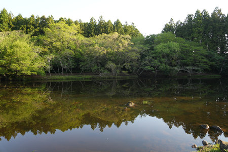 Lake in the forest with reflection of trees in the water, South Koreaの写真素材