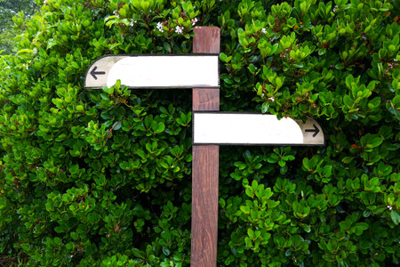 Wooden signpost in the park with green leaves background and copy spaceの写真素材