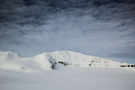 Arctic spring in the south of Spitsbergenの写真素材
