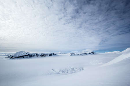 Arctic spring in the south of Spitsbergenの写真素材