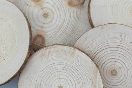 Wooden oak tree cut surface. Detailed warm dark brown and orange tones of a felled tree trunk or...