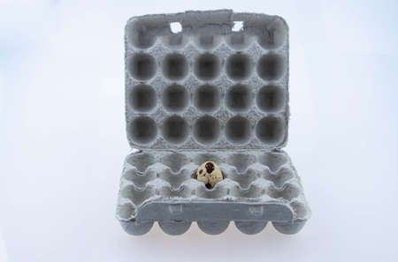 One spotted quail bird egg lies in a cardboard box. Close-up of food. Top view with space for text.