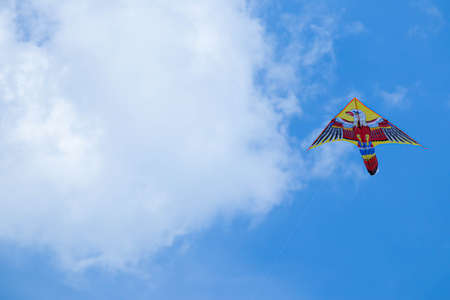 Kite with blue sky and white clouds. Bird in the sky.の写真素材