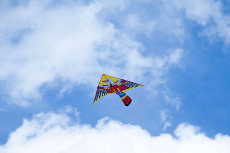 Kite with blue sky and white clouds. Bird in the sky.