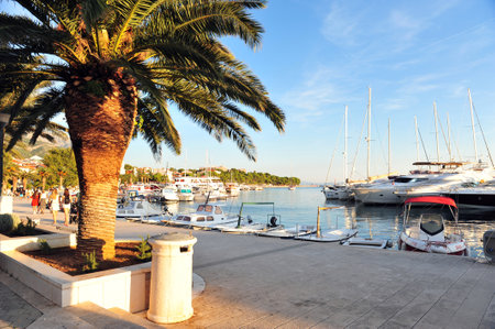Sunny day by the harbor of Baska Voda in Croatia. Tourists walking in the distance. Palm tree in the front.の写真素材