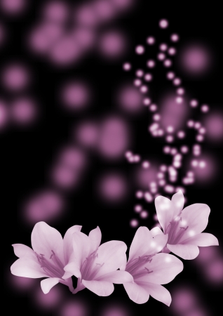 flowers backgroundの写真素材