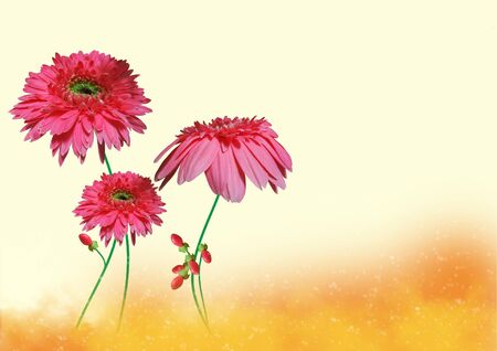 Flowers backgroundの写真素材
