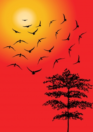 Flock of Birdsのイラスト素材