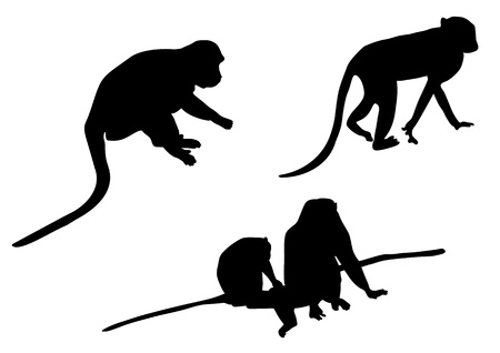  Monkey vector silhouettesのイラスト素材