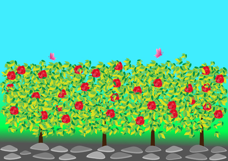 Rose Gardenのイラスト素材