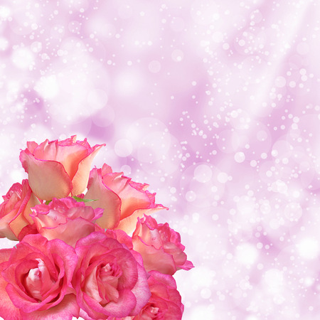 Beautiful romantic background with roses and place for textの写真素材