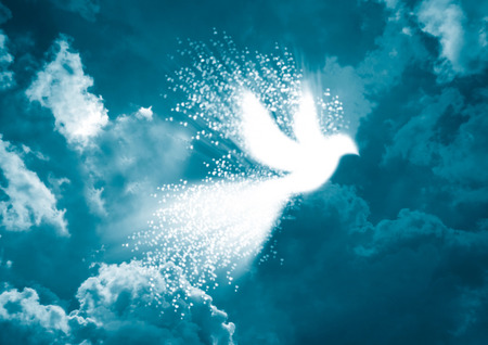 Peace dove- White dove with heart flying in blue sky backgroundの写真素材