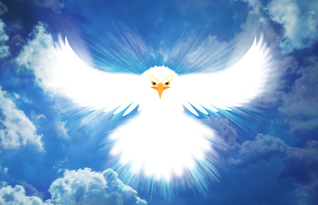 Eagle in flight with a blue sky backgroundの写真素材