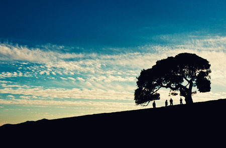 Under the big oakの写真素材