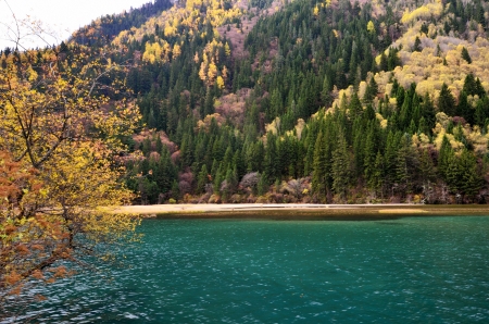 Arrow Bamboo Lake in Jiuzhaigou National Park,Sichuan Chinaの写真素材