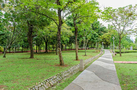 Garden stone path with grass growing up between the stonesの写真素材