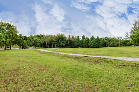 Pathway in the parkの写真素材