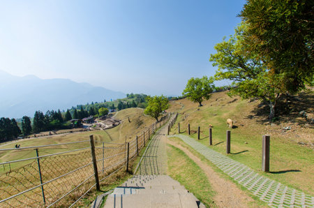 Cingjing,Taiwan - March 20,2015 : Cingjing farm is the one of the most attractive tourist place in Nantou,Taiwan.のeditorial素材