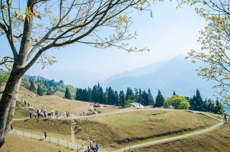 Cingjing,Taiwan - March 20,2015 : Cingjing farm is the one of the most attractive tourist place in Nantou,Taiwan.People can seen exploring around it.のeditorial素材