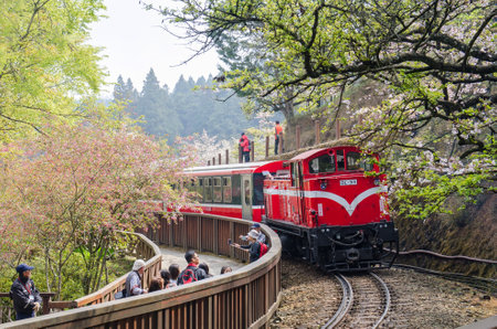 Alishan,Taiwan - March 23,2015 : Alishan forest train in Alishan National Scenic Area during spring season. People can seen exploring around it.のeditorial素材