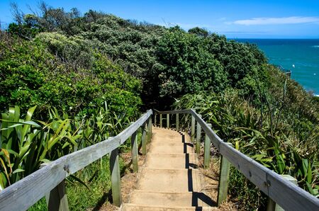 Pathway at the Muriwai Regional Park, New Zealand