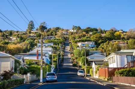 Dunedin,New Zealand - May 5, 2016 : Baldwin Street which is located in Dunedin,New Zealand is the world steepest street in the world.のeditorial素材