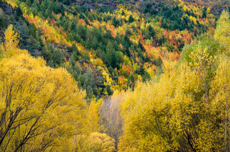 Autumn landscape of Arrowtown in New Zealandの写真素材