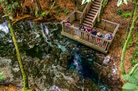 Rotorua,New Zealand - March 28,2016 : Te Puna-a-Hangurua in the Hamurana Springs, Rotorua New Zealand. There is around 4,500,00 litres of water flow out of the spring each hour.のeditorial素材