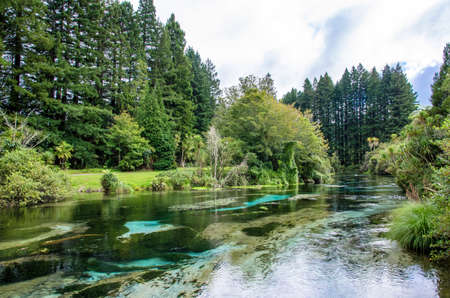 Hamurana Springs is the deepest natural fresh water spring on the North Island of New Zealand.の写真素材
