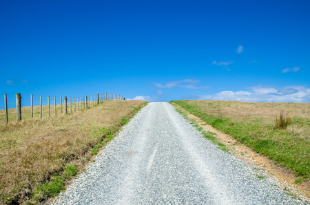 Pathway in the Shakespear Regional Park, Auckland Region, New Zealand.の写真素材