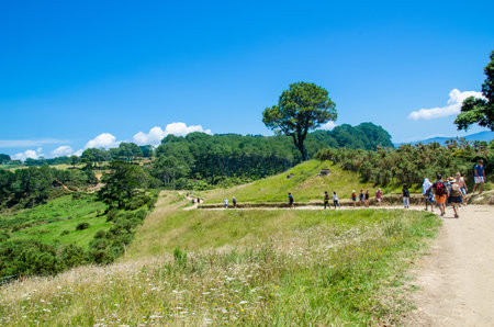 Coromandel,New Zealand - January 24, 2016:People walking through the track of the Cathedral Cove in Coromandel Peninsula on the North Island of New Zealand.のeditorial素材