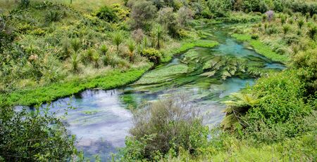 Blue Spring which is located at Te Waihou Walkway,Hamilton New Zealand. It internationally acclaimed supplies around 70% of New Zealand's bottled water because of the pure water.の写真素材