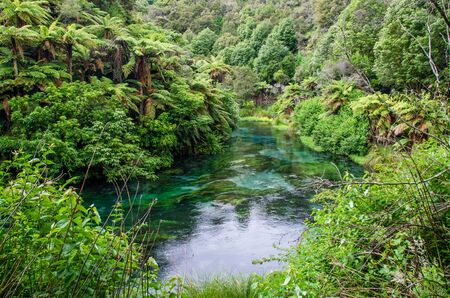 Blue Spring which is located at Te Waihou Walkway,Hamilton New Zealand. It internationally acclaimed supplies around 70% of New Zealand's bottled water because of the pure water.の写真素材