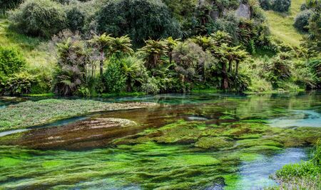 Blue Spring which is located at Te Waihou Walkway,Hamilton New Zealand. It internationally acclaimed supplies around 70% of New Zealand's bottled water because of the pure water.の写真素材