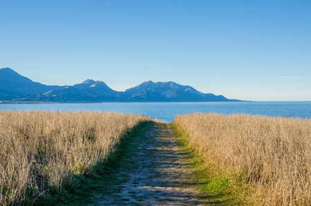 Pathway at the Point Kean Viewpoint, Kaikoura New Zealand.の写真素材