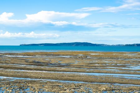 Omana Regional Park in Auckland, New Zealand.の写真素材