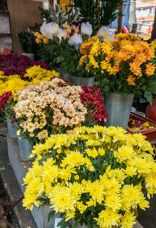 Various multicolored fresh flowers selling in a morning market.の写真素材