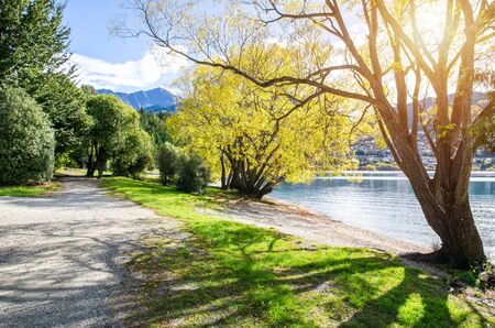 Walking track in Lake Wakatipu, which is located at south island of New Zealand.の写真素材