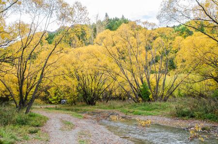 Autumn landscape view of Arrowtown, New Zealand