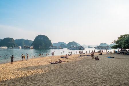 Halong Bay - November 3,2017 : Tourists can seen swimming and exploring around the beach in Ti Top Island.It is one of the most attractive site for both international and domestic tourists to Halong.のeditorial素材