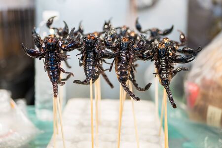 Deep fried scorpions selling at the Bangkok night market.Fried insects is one of the famous snack in Thailand.の写真素材