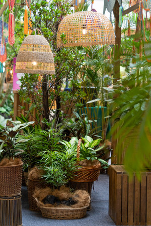 Beautiful indoor various types of plants and pendant lights decoration.の写真素材